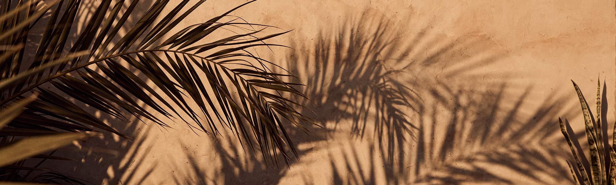 Vacation Shop - Walk London