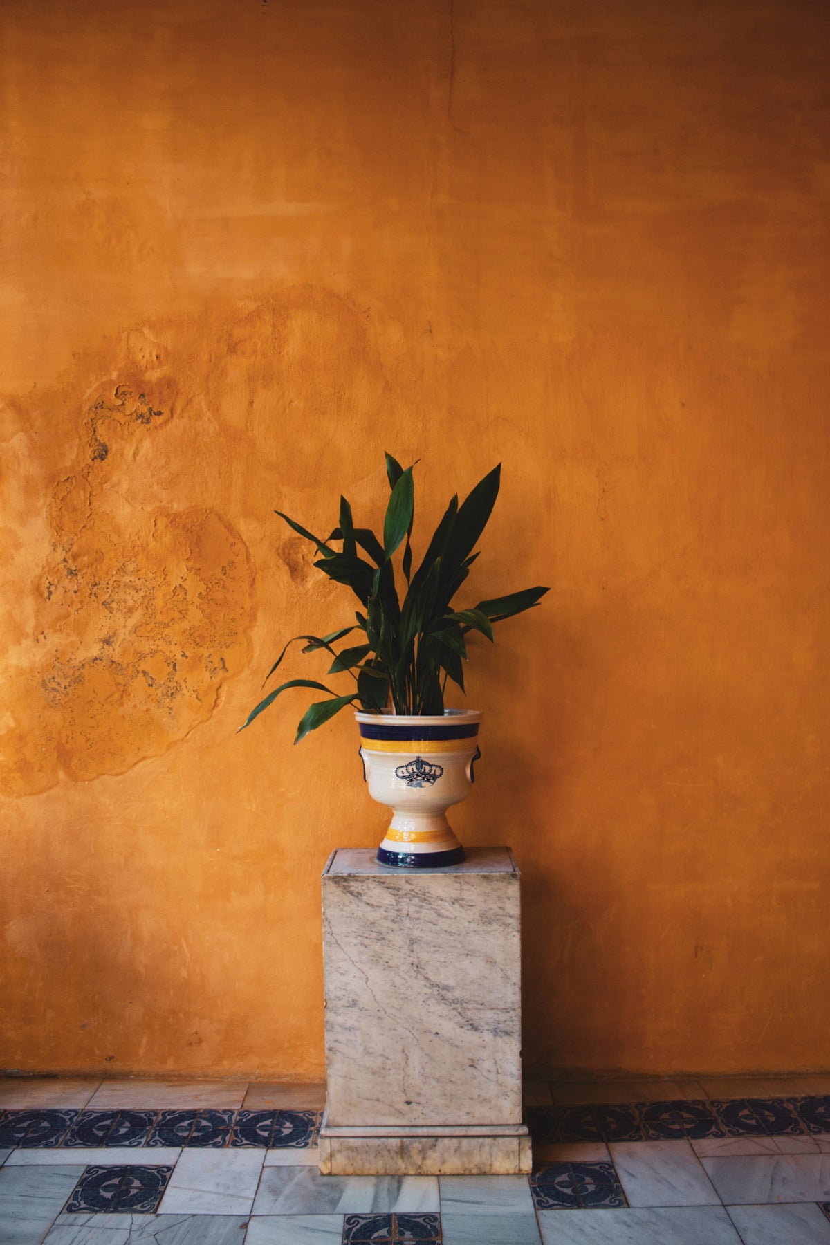 walk london alfie chelsea boots