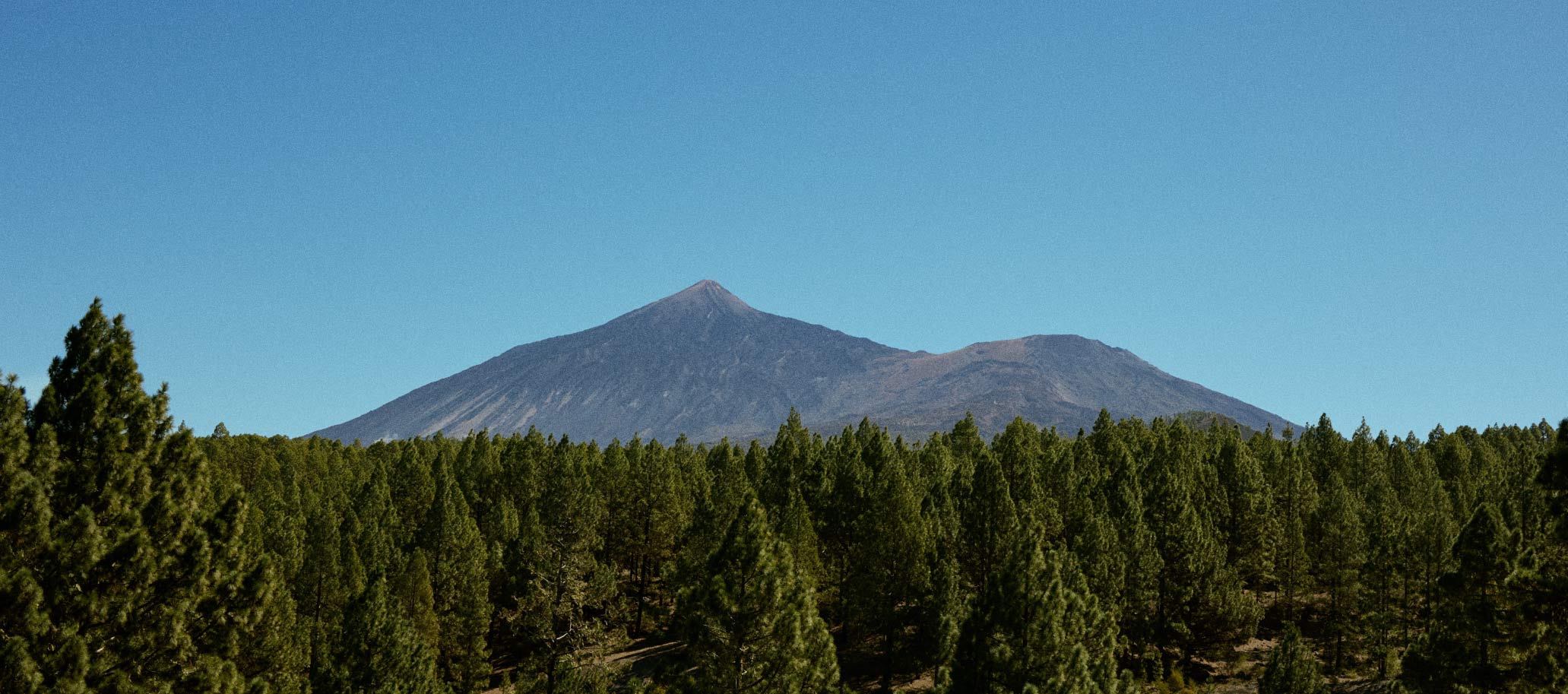 Landscape of volcanic mountain and green pine trees with blue sky